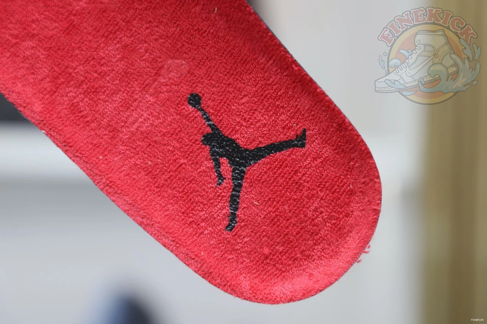 Air Jordan4 Jordan Bravo RetroToro 0117